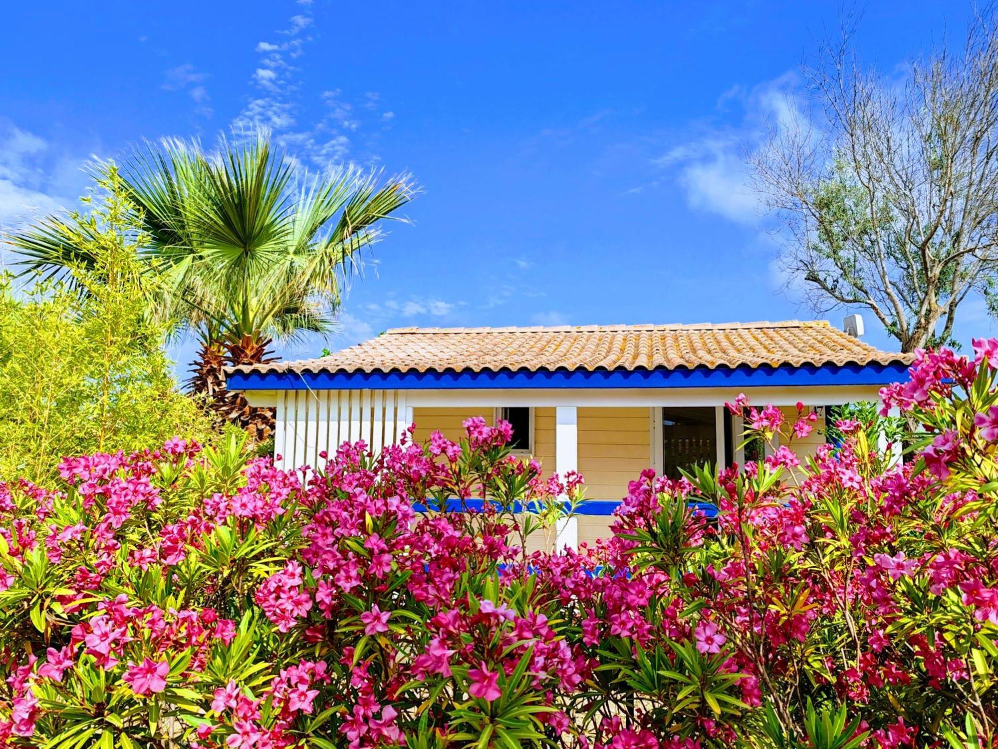 Camping Hameau Des Cannisses กรุยซ็อง ภายนอก รูปภาพ